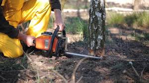 Best Soil Testing and Treatment  in Rosanky, TX